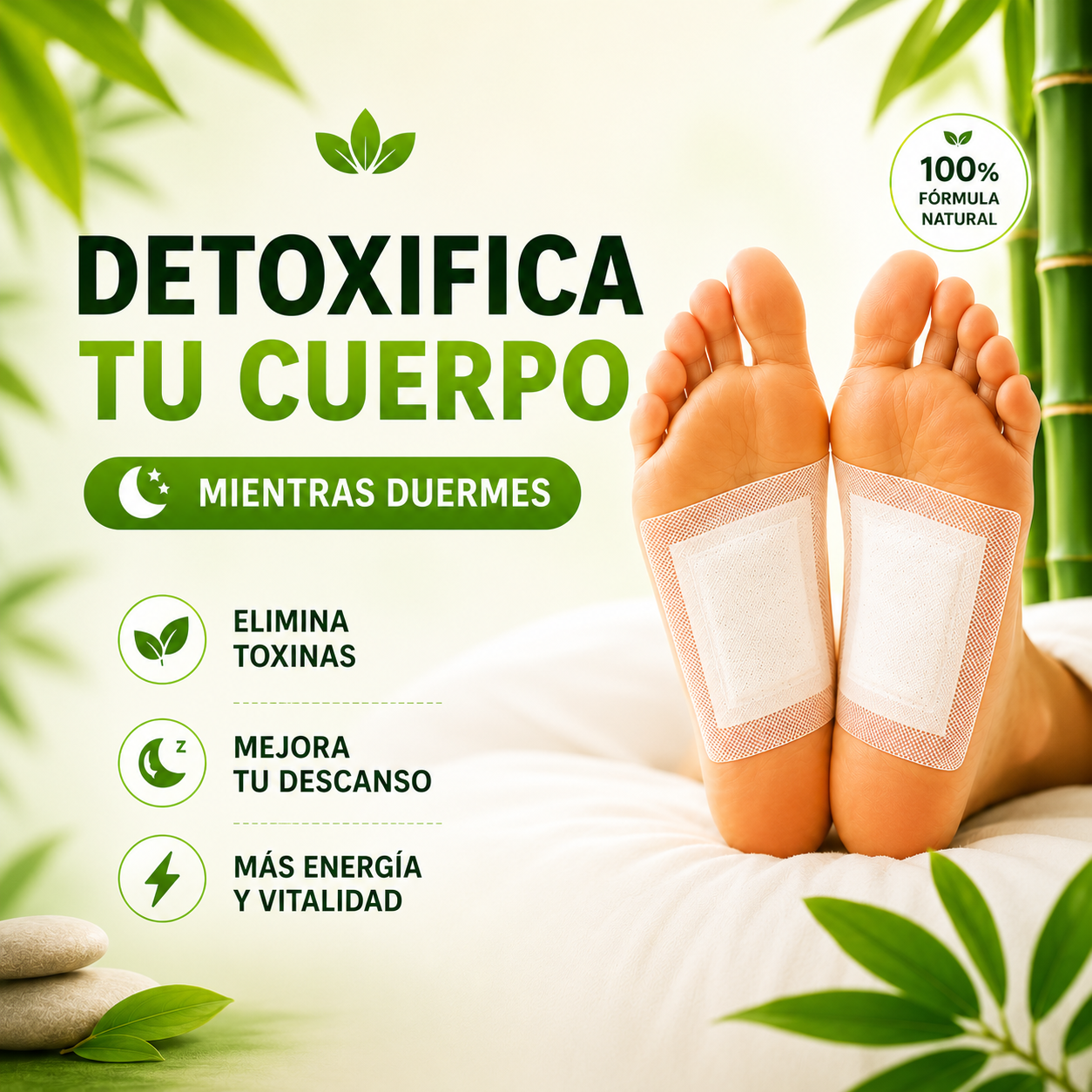 PARCHES DETOX KINOKI